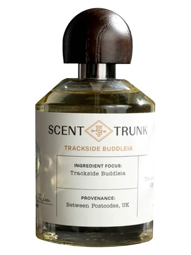 Trackside Buddleia by Scent Trunk