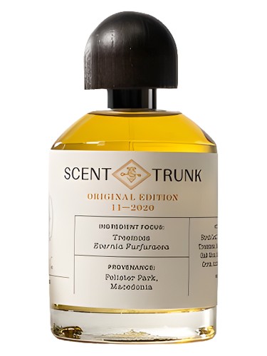 Treemoss by Scent Trunk