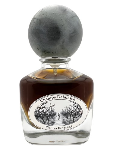 Champs Délaissée by Pictura Fragrans