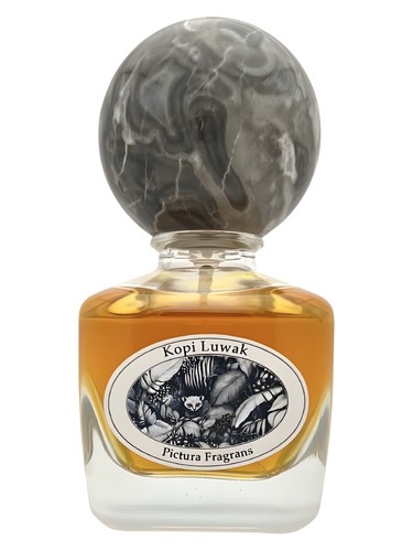 Kopi Luwak by Pictura Fragrans