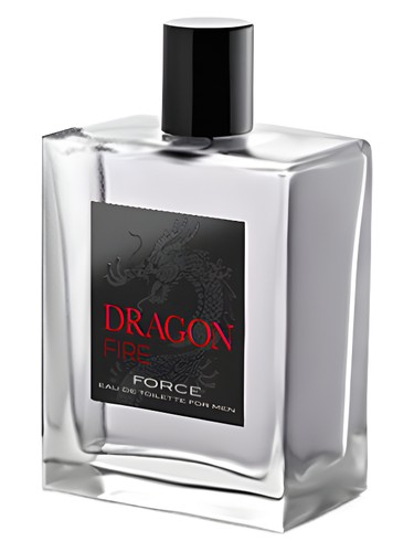 Dragon Fire Force by Instituto Español