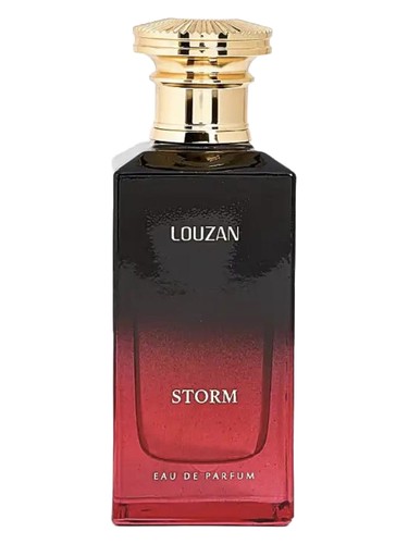Storm by Louzan