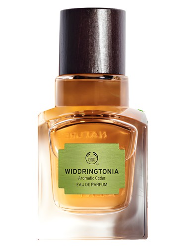 Widdringtonia by The Body Shop