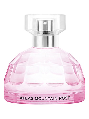 Atlas Mountain Rose by The Body Shop