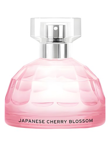 Japanese Cherry Blossom by The Body Shop