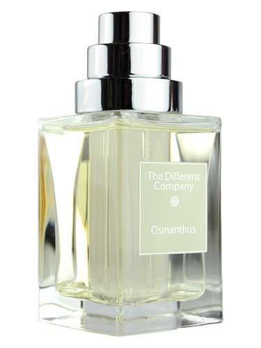 Osmanthus by The Different Company