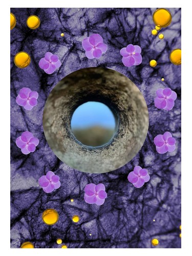 Crown Of Violets by ånd fragrances
