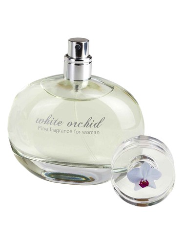 White Orchid by Bachs