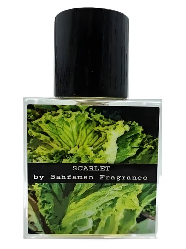 Scarlet by Bahfamsn Fragrance