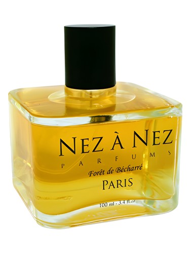 Foret de Becharre by Nez a Nez