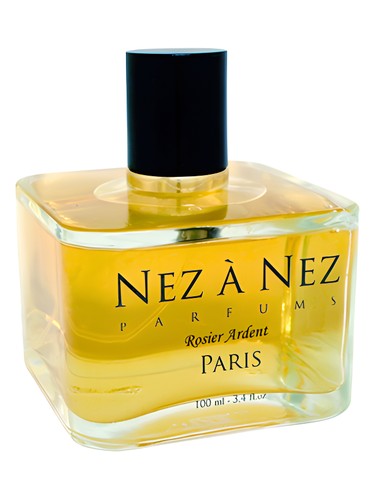 Rosier Ardent by Nez a Nez