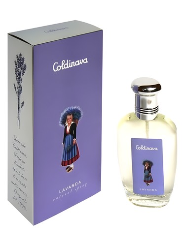 Lavanda Coldinava by Nicky Chini