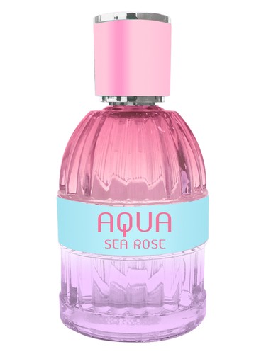 Aqua Sea Rose by Sergio Nero