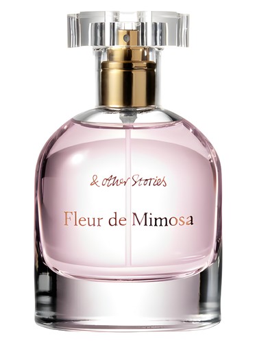 Fleur de Mimosa by And Other Stories