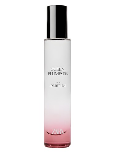Queen Plumrose by Zara