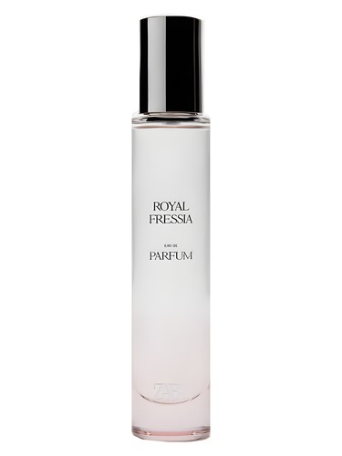 Royal Freesia by Zara