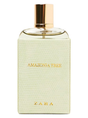 Amazonia Tree by Zara