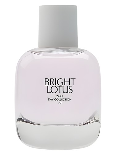 Bright Lotus by Zara