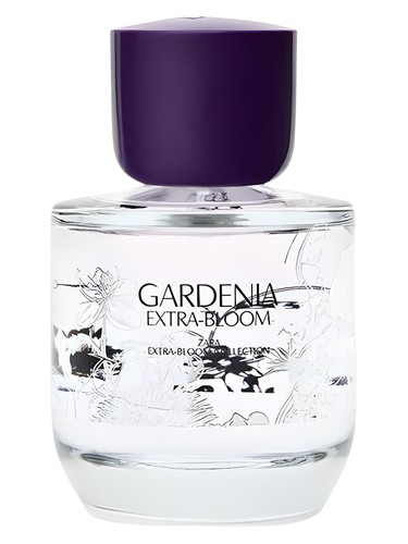 Gardenia Extra-Bloom by Zara