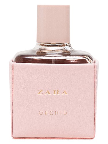 Orchid 2016 by Zara