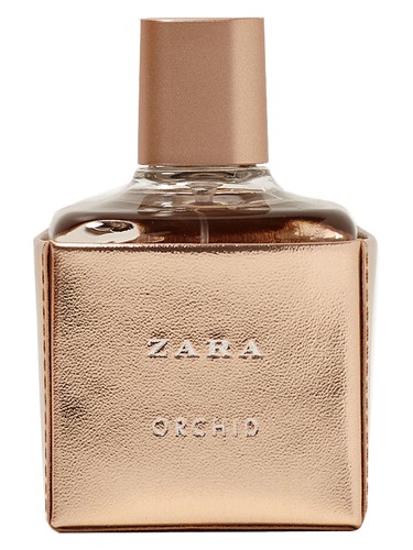 Orchid 2017 by Zara