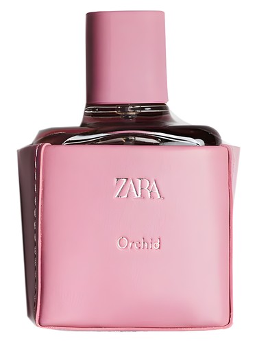 Orchid 2021 by Zara