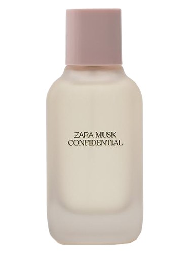 Musk Confidential by Zara