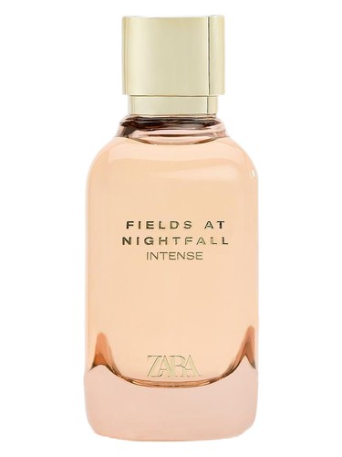 Fields At Nightfall Intense by Zara