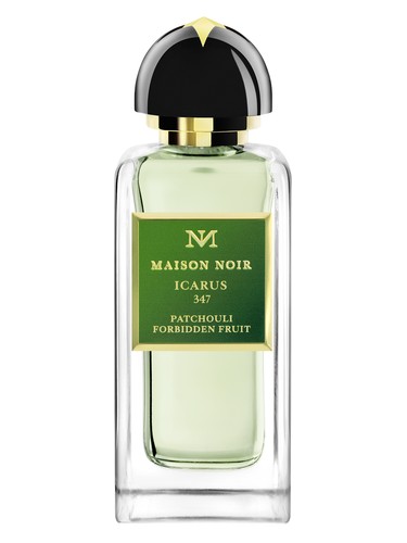 Icarus 347 by Maison Noir