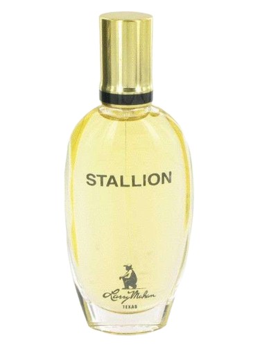 Stallion by Larry Mahan