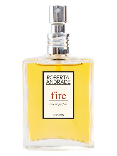 Fire by Roberta Andrade