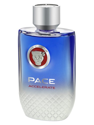Pace Accelerate by Jaguar
