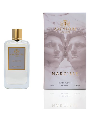 Narcisse by Amphore