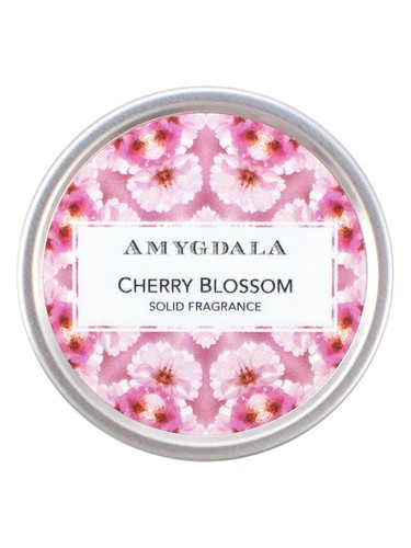 Cherry Blossom by Amygdala