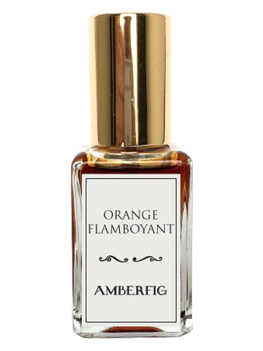 Orange Flamboyant by Amberfig