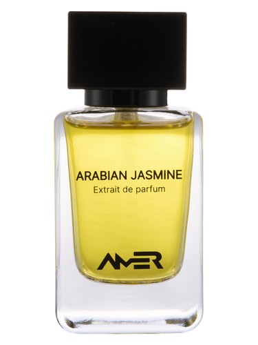 Arabian Jasmine by Amer Perfumes