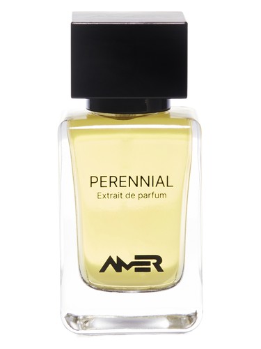 Perennial by Amer Perfumes