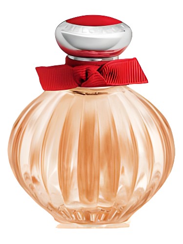 Beloved Red Rose by American Beauty