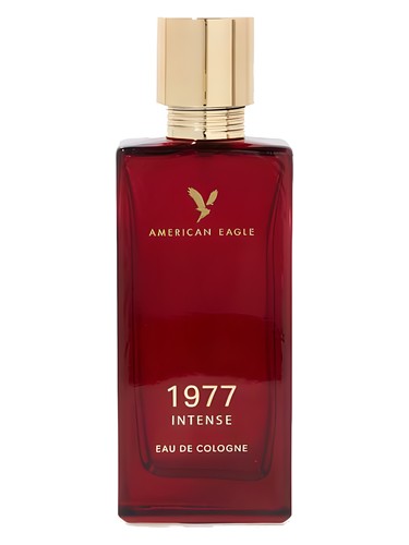 AEO 1977 Intense by American Eagle