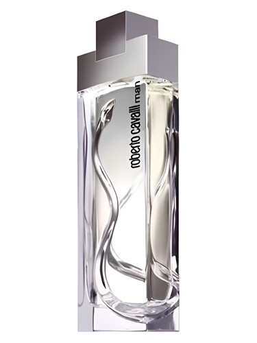 Man by Roberto Cavalli
