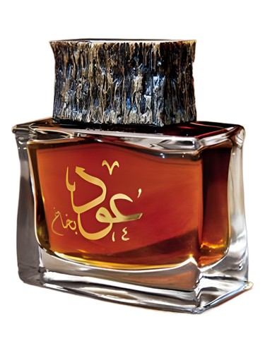 Oud Bakhakh by Junaid Perfumes