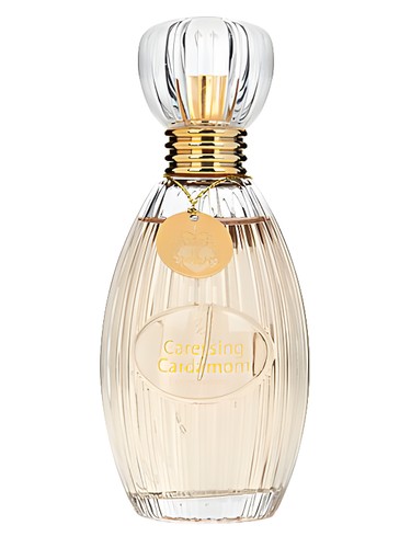 Caressing Cardamom by Judith Williams