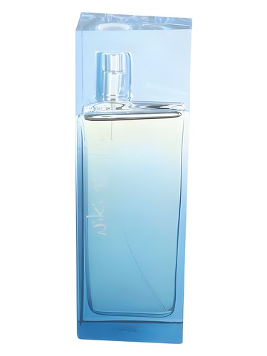 Begin by Niki Taylor