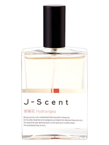 Hydrangea by J-Scent