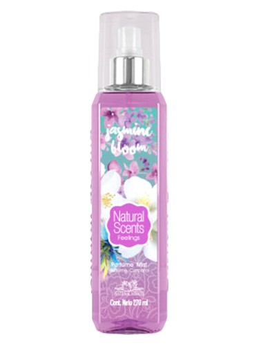 Jasmine Bloom by Natural Scents