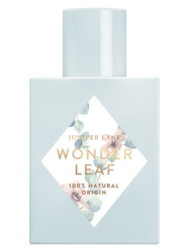 Wonder Leaf by Nature Blossom