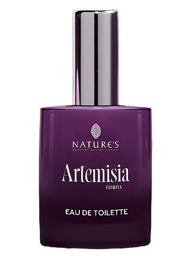 Artemisia Fiorita by Nature's