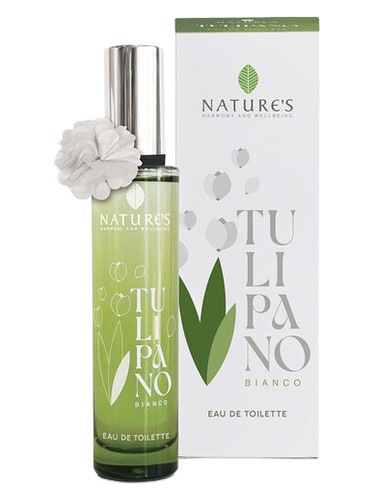 Tulipano Bianco by Nature's