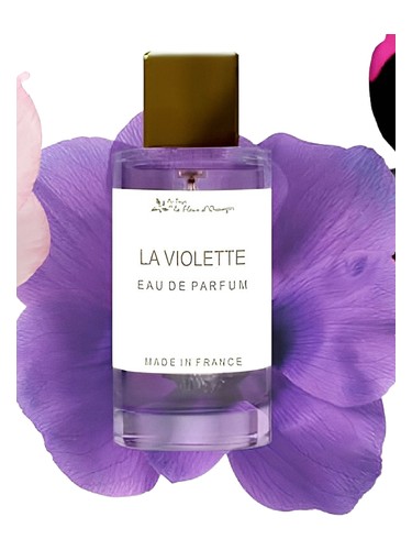 La Violette by Au Pays de la Fleur d’Oranger