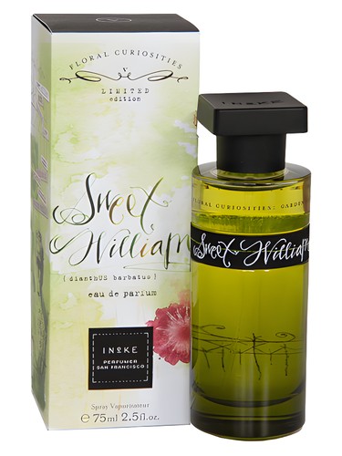 Sweet William by Ineke